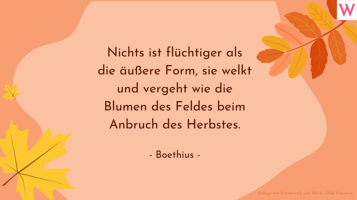 Herbstsprüche: Zitate, kurze Gedichte und Sprüche über den Herbst 19