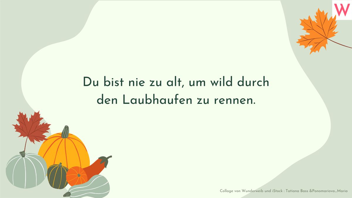 Herbstsprüche: Zitate, kurze Gedichte und Sprüche über den Herbst 24