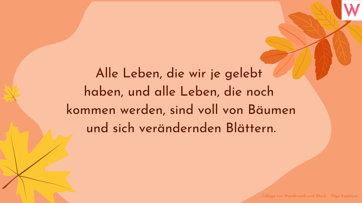 Herbstsprüche: Zitate, kurze Gedichte und Sprüche über den Herbst 16