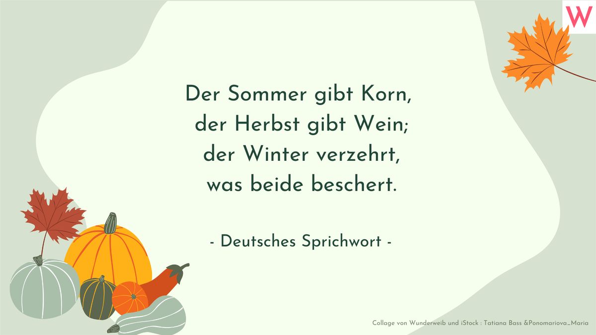 Herbstsprüche: Zitate, kurze Gedichte und Sprüche über den Herbst 27