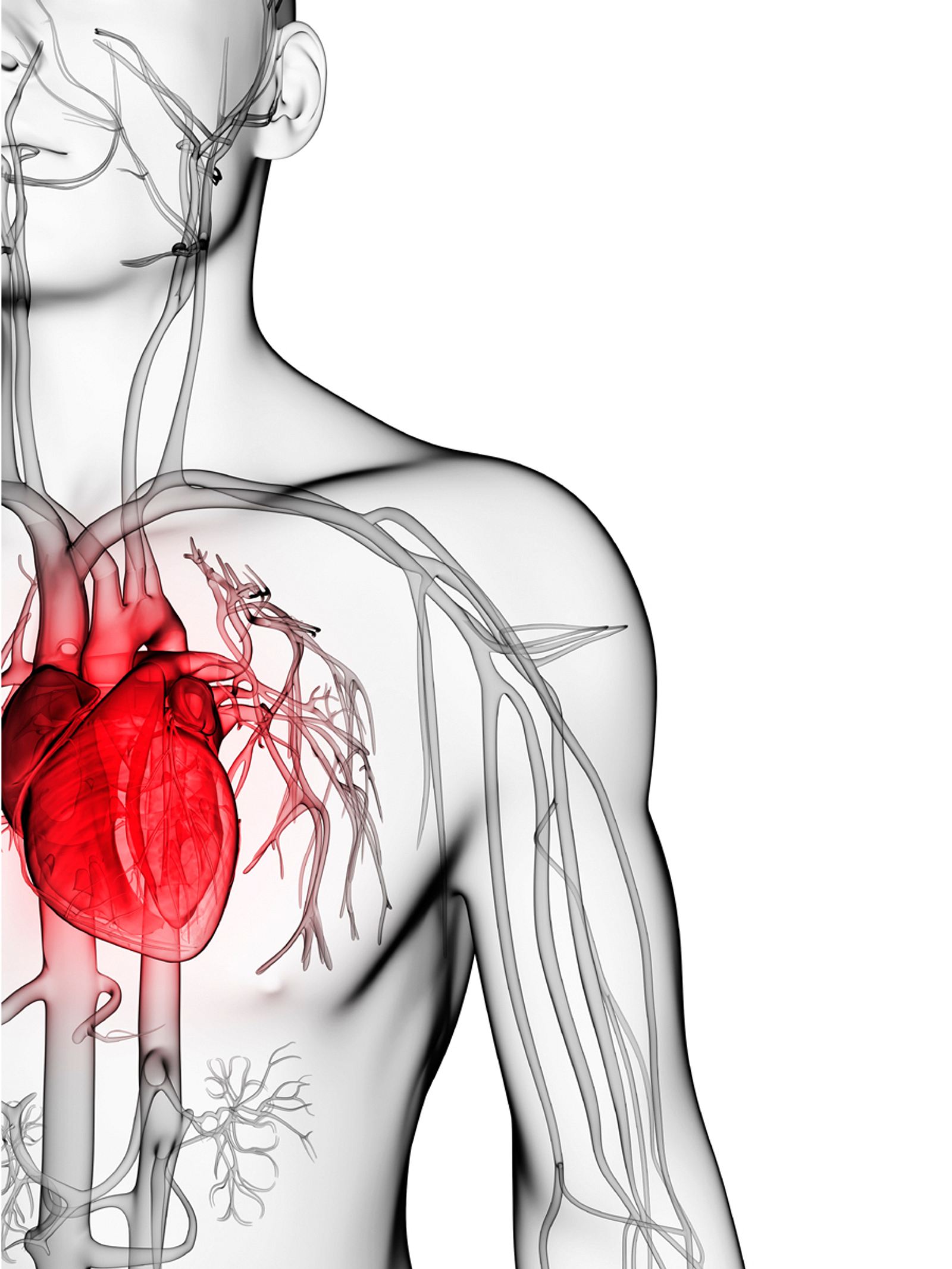 Habe Ich Ein Herzproblem 5 Anzeichen Die Du Beachten Solltest Wunderweib