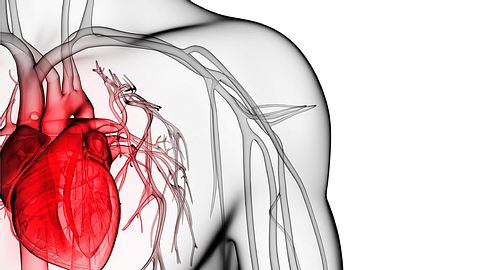 herz probleme - Foto: Istock