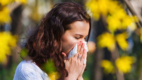 Diese Medikamente helfen bei Heuschnupfen. - Foto: iStock/razyph