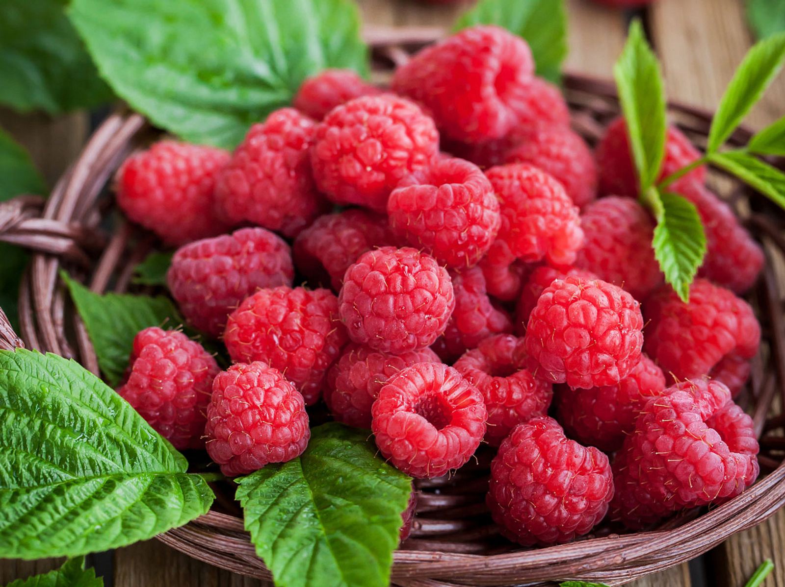 куст малины вид сверху. малина 13. калининградская ремонтантная малина. малина обои на айфон. малина лесная -rubus idaeus.