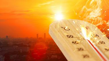 Experten warnen vor den Auswirkungen der derzeitigen Hitzewellen. - Foto: istock/ coffeekai