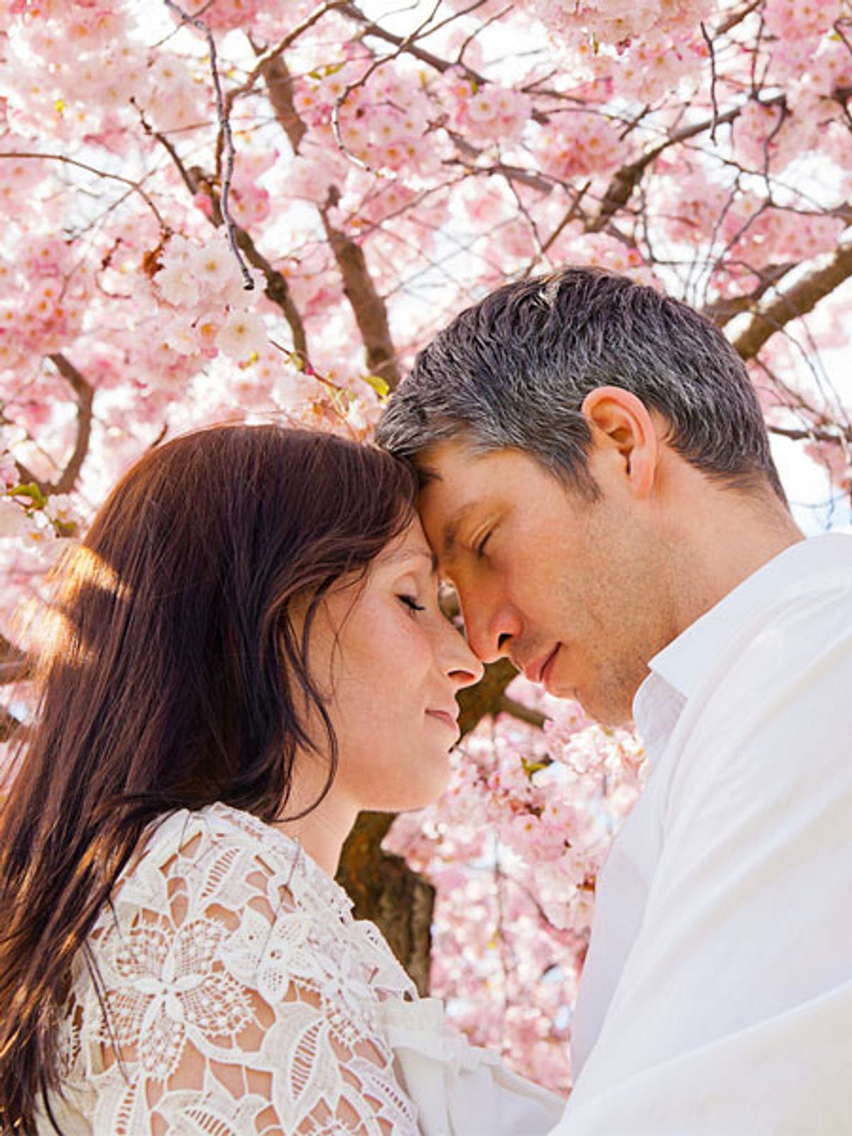 hochzeit fakten h