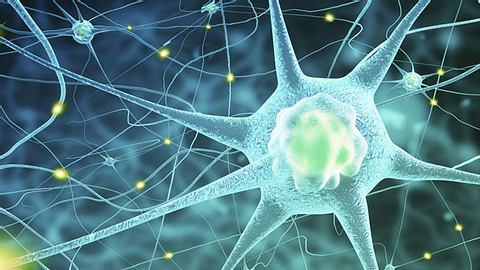 10 Anzeichen von Hormonstörungen, die Du nicht ignorieren solltest - Foto: iStock //  cosmin4000