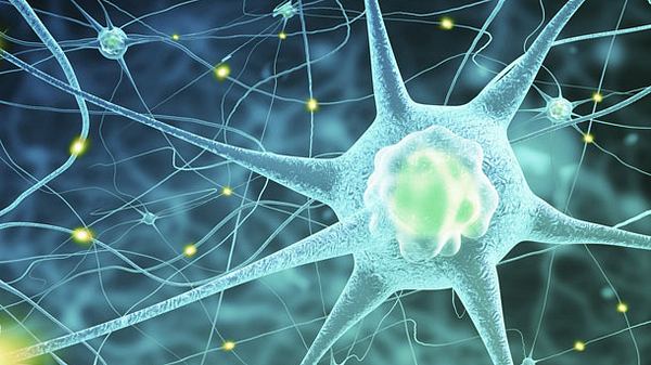 10 Anzeichen von Hormonstörungen, die Du nicht ignorieren solltest - Foto: iStock //  cosmin4000