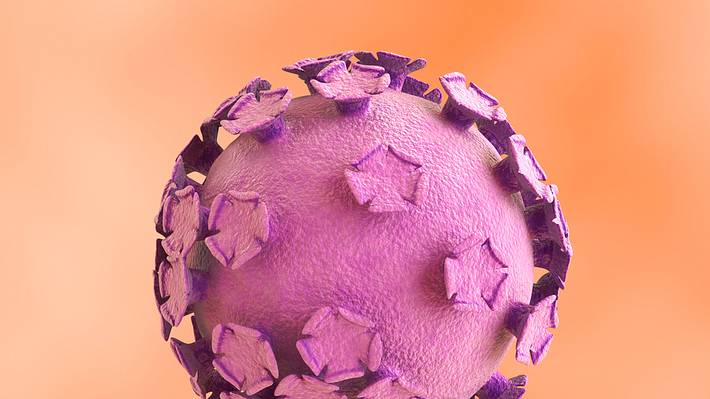 Die Abkürzung HPV steht für den „Humanen Papillomvirus“. Alles über Symptome, Folgekrankheiten und Impfung. - Foto: iStock