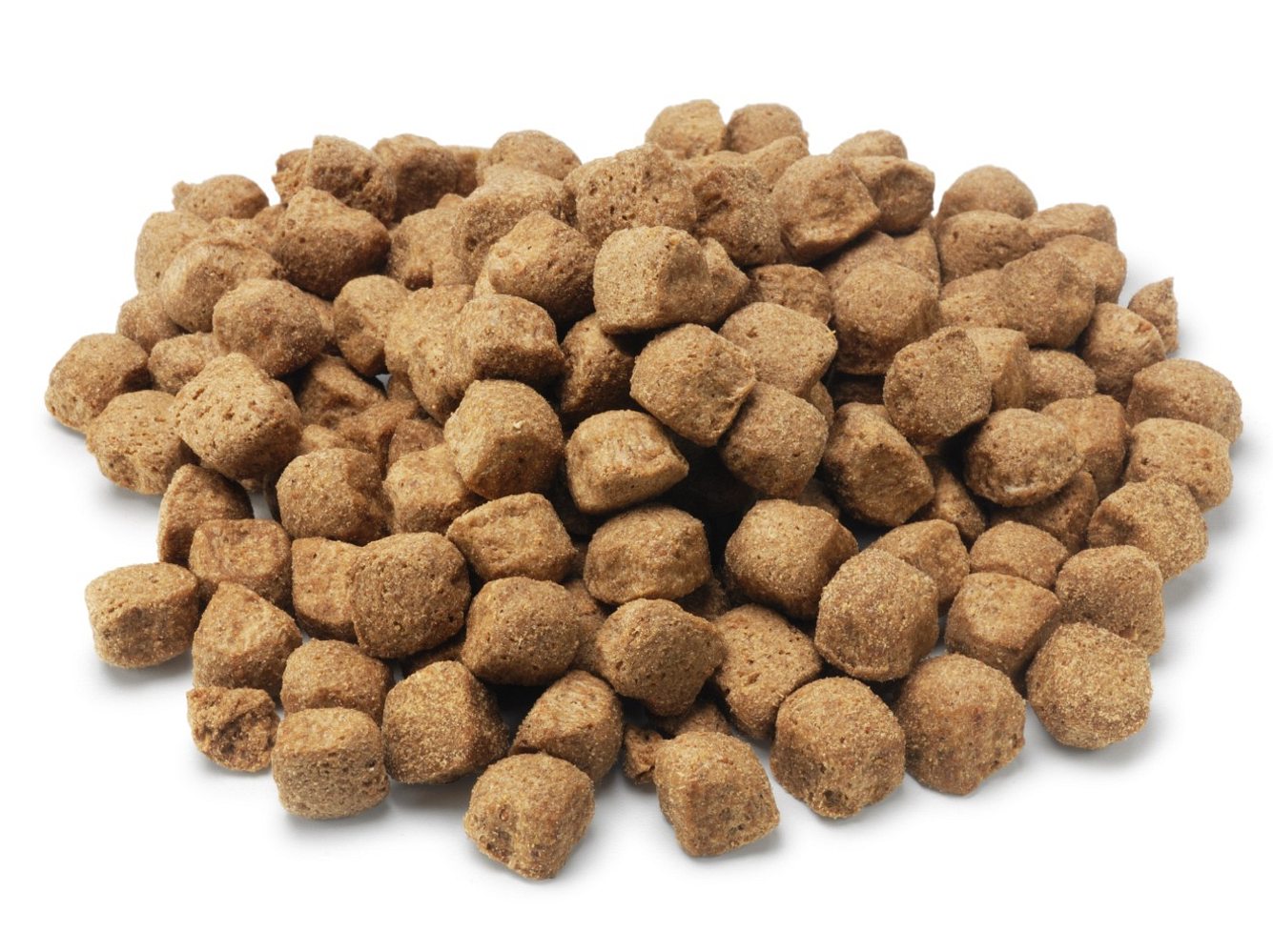 Hundekekse Rezepte:Diese Leckerlies wird dein Hund lieben! Hundekekse Rezepte:Diese Leckerlies wird dein Hund lieben!