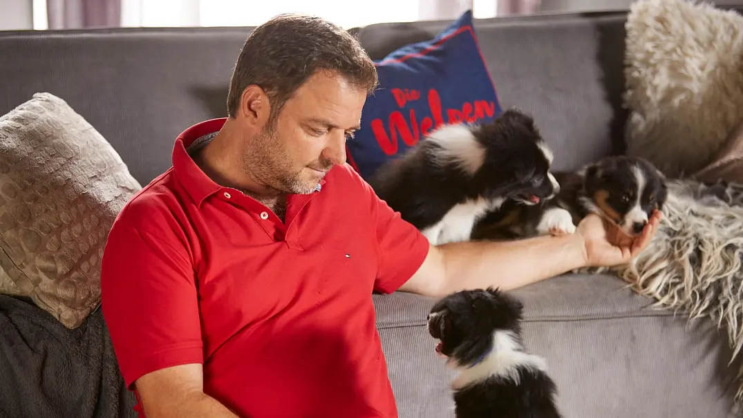 Hundeprofi Martin Rütter - Foto:  RTL / Arya Shirazi