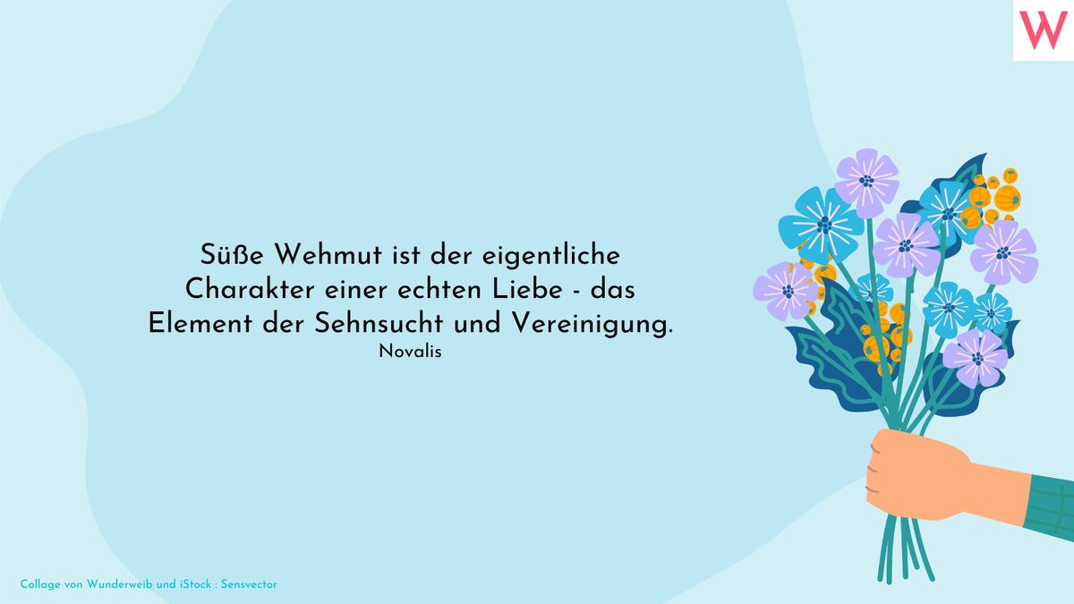 Süße Wehmut ist der eigentliche Charakter einer echten Liebe - das Element der Sehnsucht und Vereinigung. (Novalis)