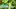 Video Platzhalter Video Platzhalter
