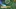 Video Platzhalter Video Platzhalter