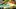 Video Platzhalter Video Platzhalter