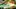 Video Platzhalter