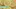 Video Platzhalter Video Platzhalter