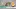 Video Platzhalter Video Platzhalter