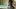 Video Platzhalter
