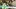 Video Platzhalter Video Platzhalter