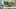 Video Platzhalter