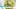 Video Platzhalter Video Platzhalter
