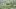 Video Platzhalter Video Platzhalter