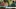 Video Platzhalter Video Platzhalter