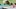 Video Platzhalter Video Platzhalter
