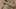 Video Platzhalter Video Platzhalter