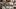 Video Platzhalter Video Platzhalter