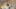 Video Platzhalter Video Platzhalter