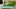 Video Platzhalter Video Platzhalter