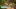 Video Platzhalter