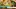 Video Platzhalter Video Platzhalter