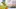 Video Platzhalter