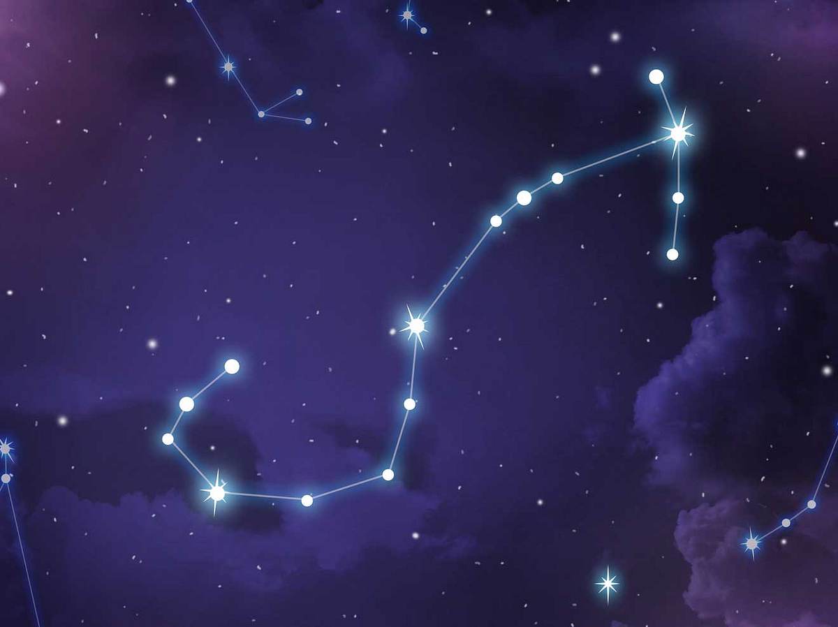 Das indische Sternzeichen Vrishika ist realistisch.