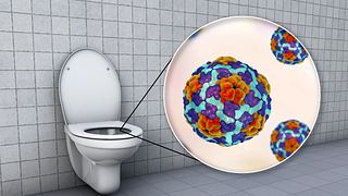 Öffentliche Toilette sauber? - Foto: iStock/ Dr_Microbe