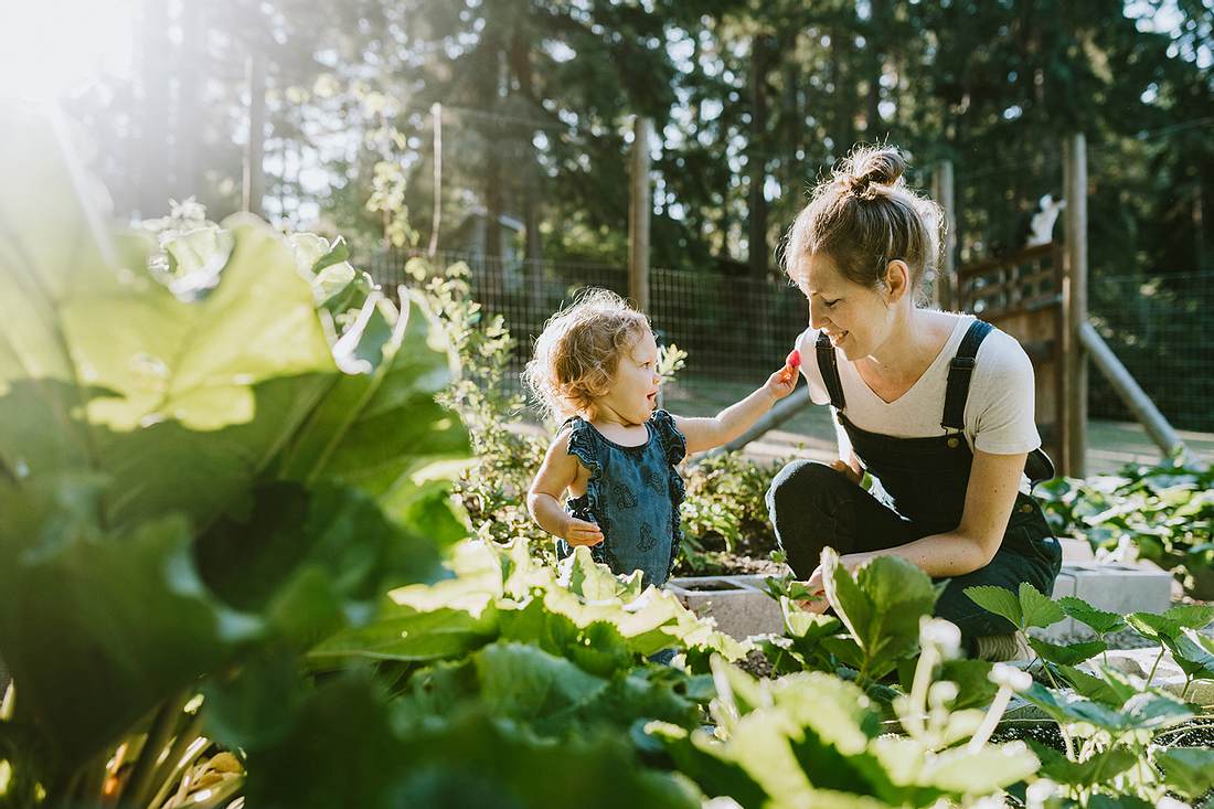 Sommer im Garten: Die besten Tipps für dich und die Familie Sommer im Garten: Die besten Tipps für dich und die Familie