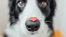 Viel Liebe zum Valentinstag! - Foto: Iuliia Zavalishina / iStock