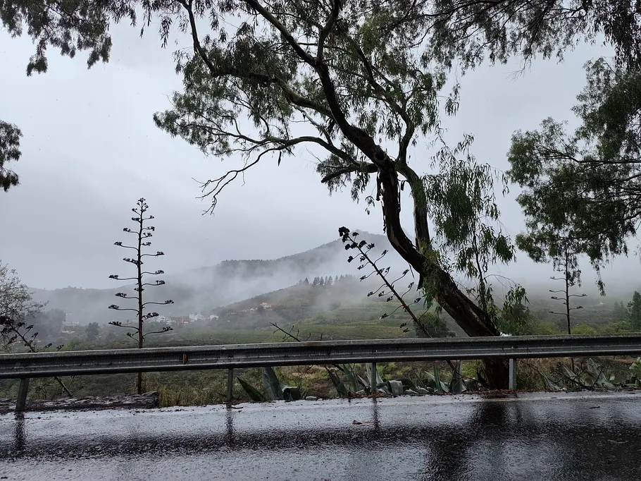 Wetter auf den Kanaren: Nebel, Regen, Sturm