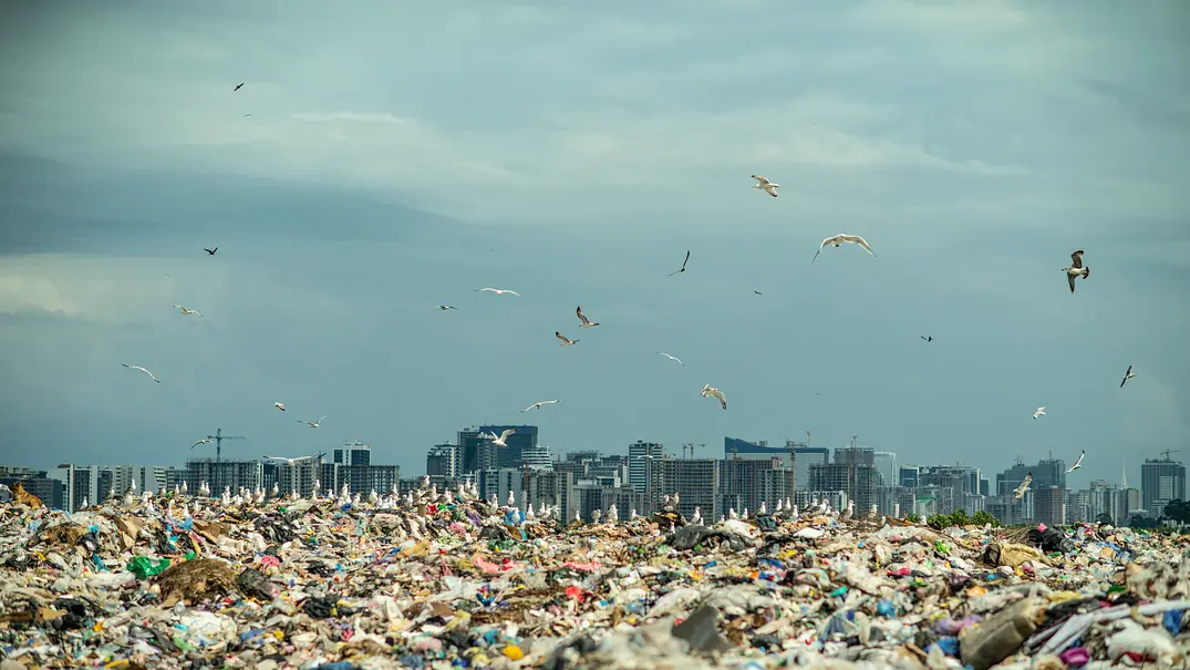 Müllhalde mit einer Stadt im Hintergrund (Themenbild) - Foto: iStock/ArtMarie Müllhalde mit einer Stadt im Hintergrund (Themenbild) - Foto: iStock/ArtMarie