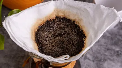 Mit Kaffeesatz gegen Ameisen und Co. vorgehen. - Foto: iStock/Zacary Capps