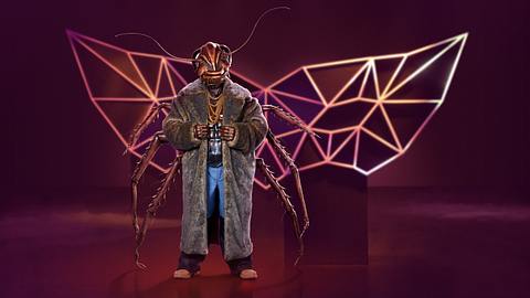 The Masked Singer: Wer ist die Kakerlake? - Foto: ProSieben/Willi Weber