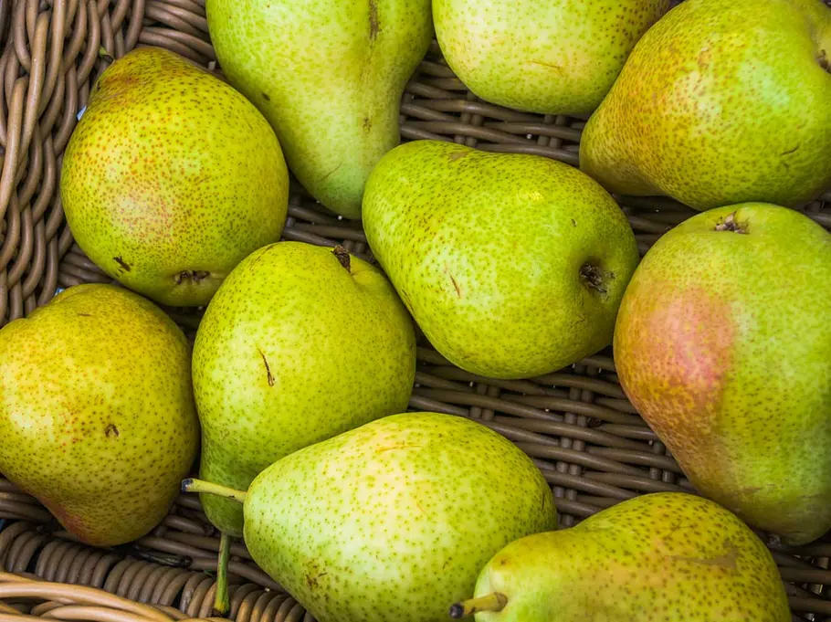 Kalorien von Birnen: Wenig Kalorien, viel Eisen Kalorien Obst: So viele Kalorien haben Birnen