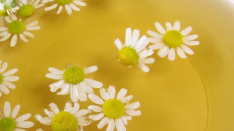 Die Kamillenbad-Wirkung auf deinen Körper ist vielfältig - Foto: HeikeRau/iStock