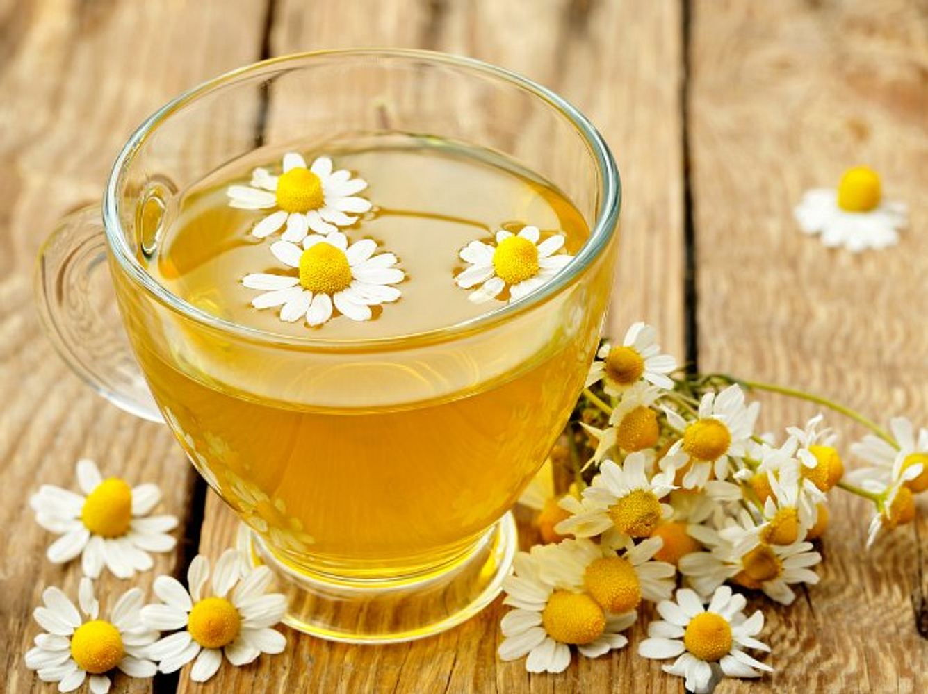 Gesundheit tipps Hausmittel Kamillenblüten machen einen hochwirksamen Kamillentee