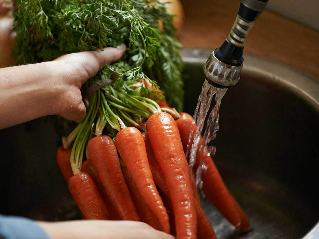 Karotten sind länger haltbar, wenn man sie vor der Lagerung nicht wäscht!