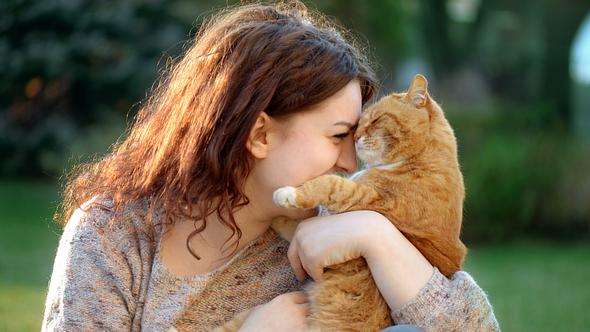 Katzenverhalten verstehen: Darum stupst dich deine Fellnase wirklich an - Foto: elenaleonova/iStock