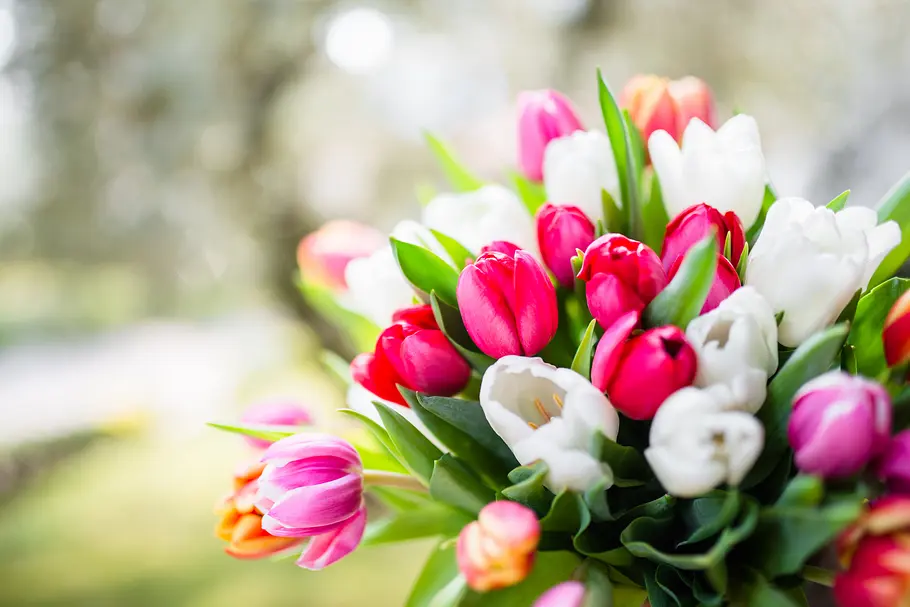 Kleine Ostergeschenke - Frühlingsblumen